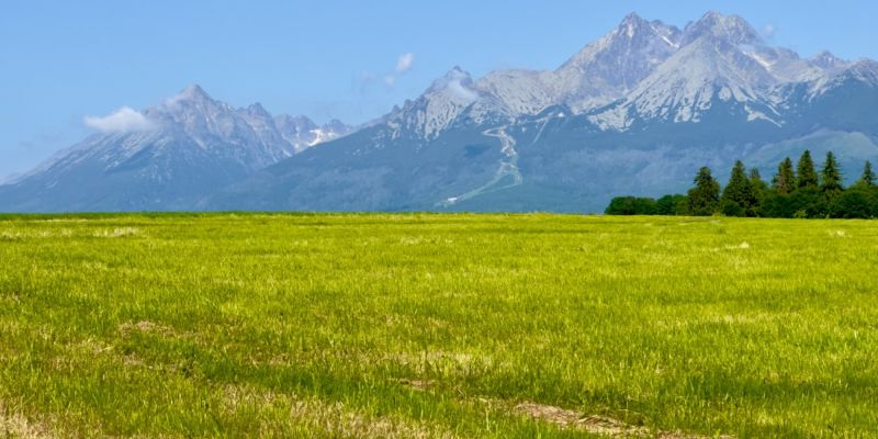 Morgens halb zehn in "Mühlerchen"
