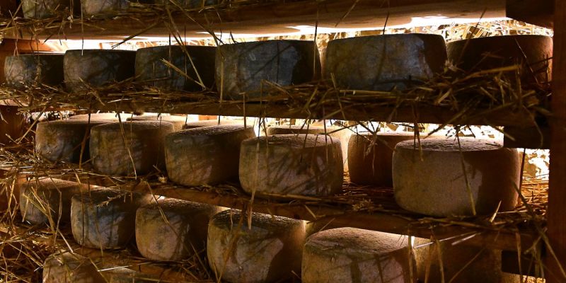 Alles Käse