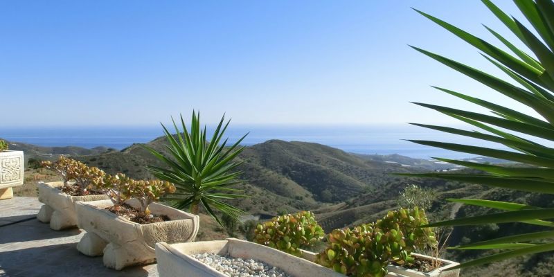 So ein Finca-Tag…