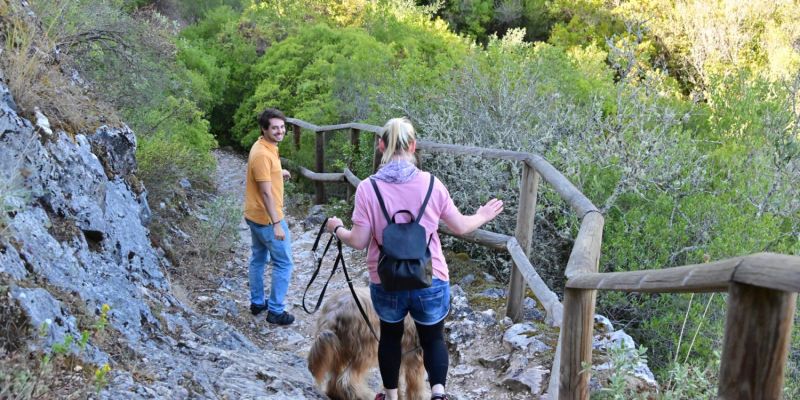 Salz – ohne Meerwasser