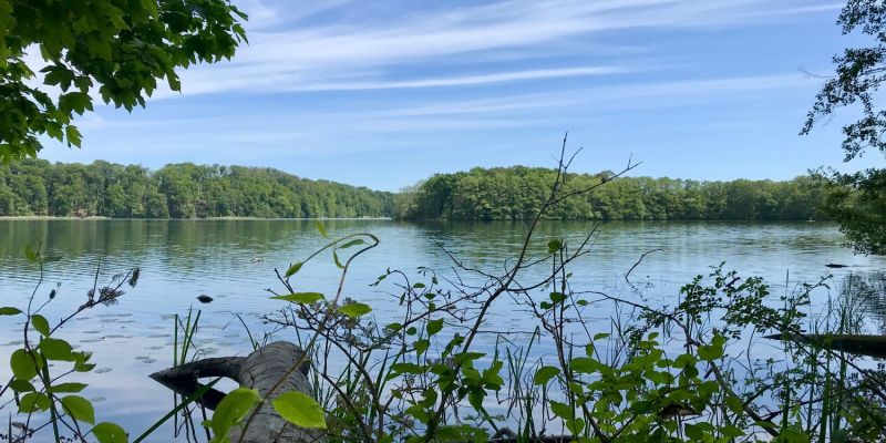 Wanderung um den Pinnower See