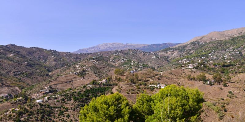 Wir haben uns wieder einmal getraut …