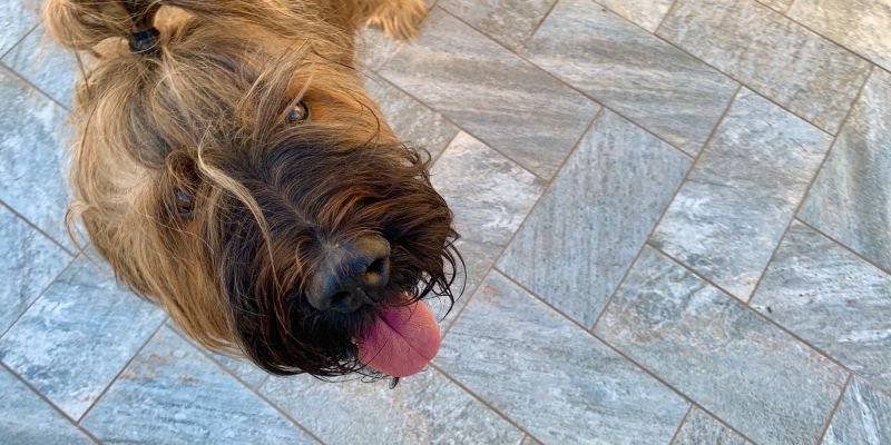 Archi außer Kontrolle