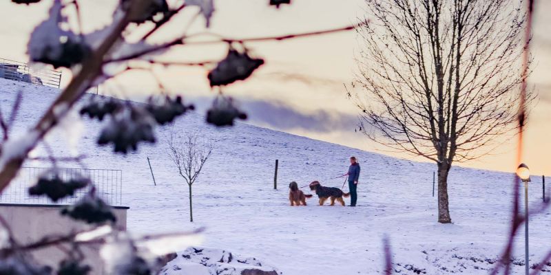 Standard-Stopp in Irschenberg