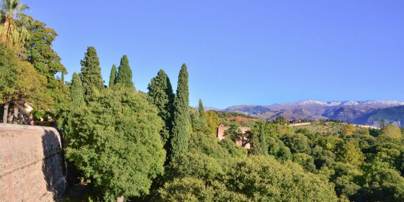 Großer Tagesausflug