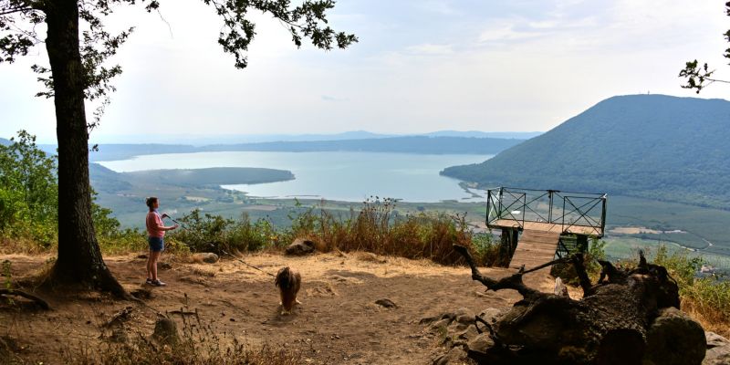 Wir haben es gewagt …