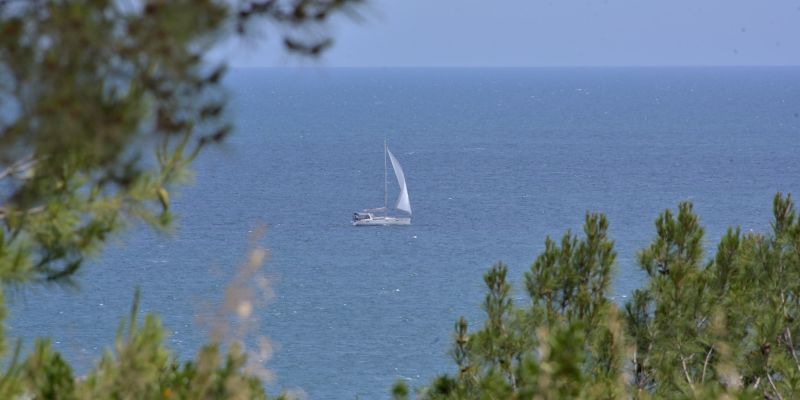 Welches Titelfoto nehmen wir heute?