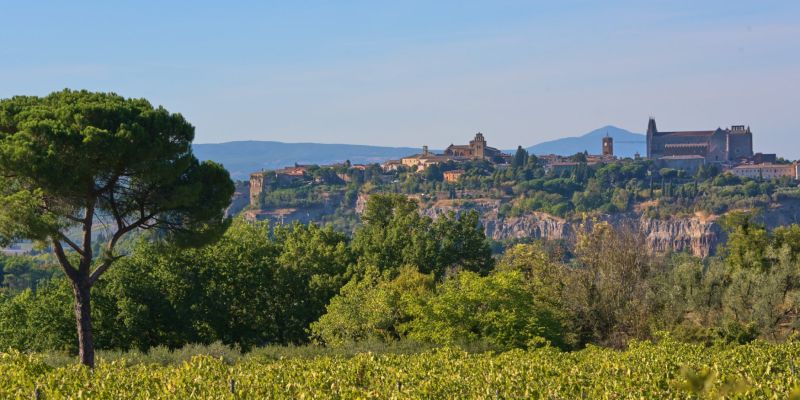 Montefiascone - Bagnoregio - Orvieto