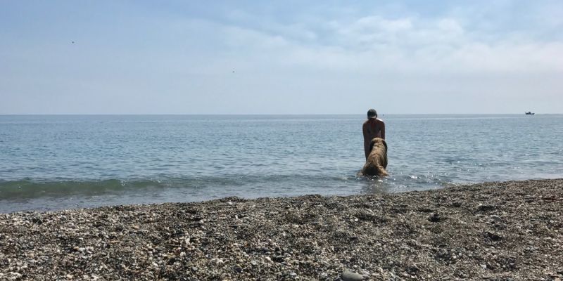 Nein, diese Zweibeiner ...