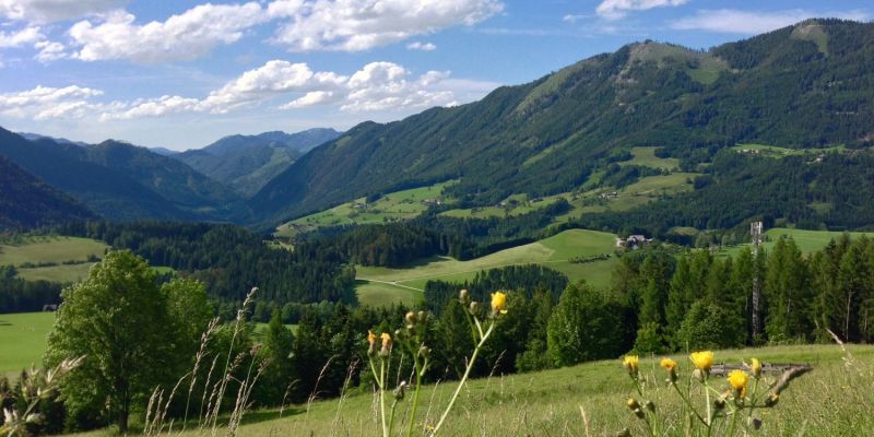 Entspanntes Arbeiten...