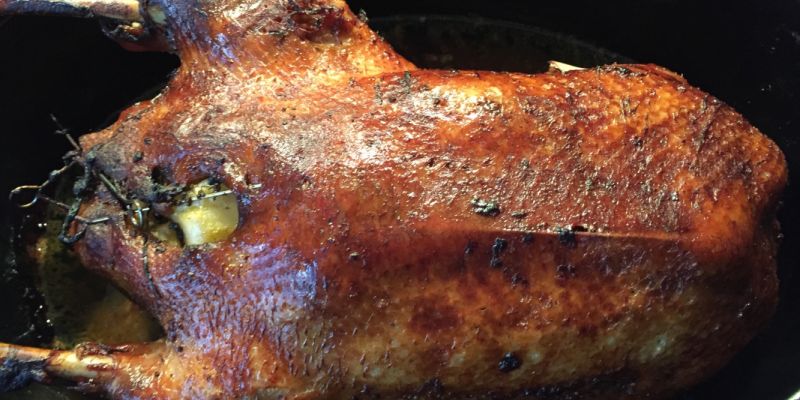 Die Vorbereitungen laufen