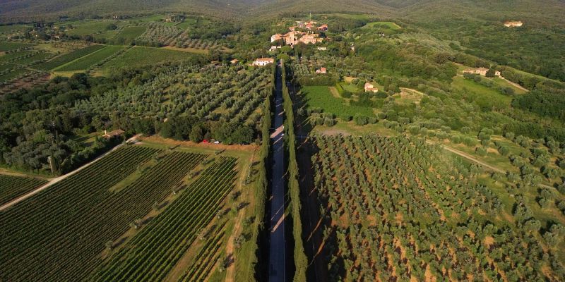 Die Zypressenallee - 3. Stopp