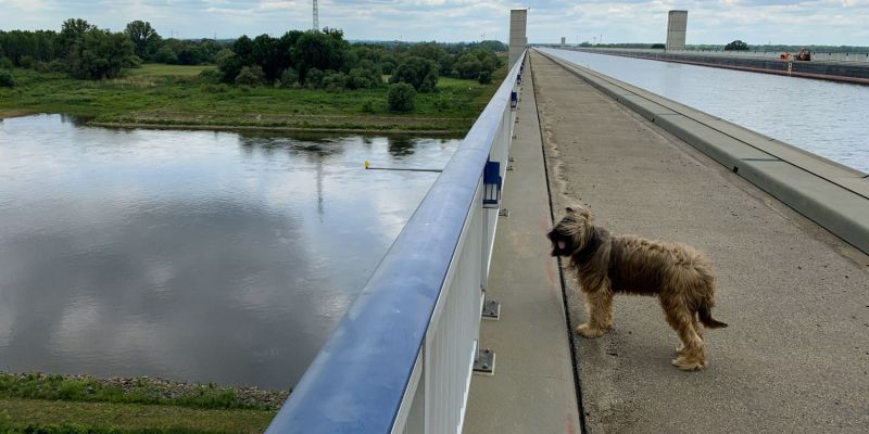Elbe trifft auf Mittellandkanal