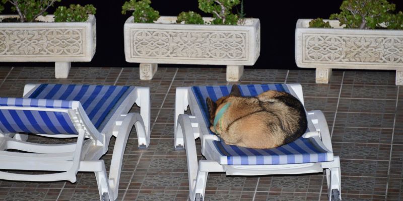 Das Finca-Wachpersonal