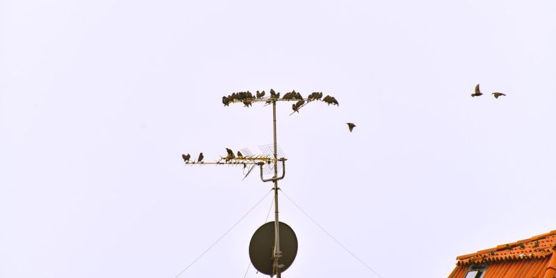 Wir hängen heute ab ...