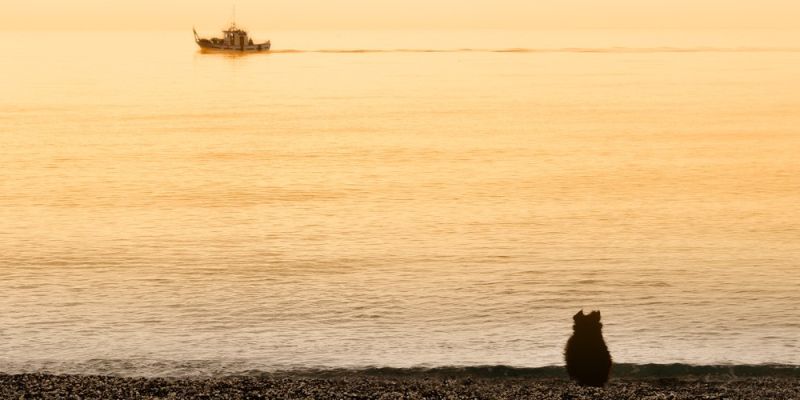 Tschüss Meer, Tschüss Boot, Tschüss Sonne ...