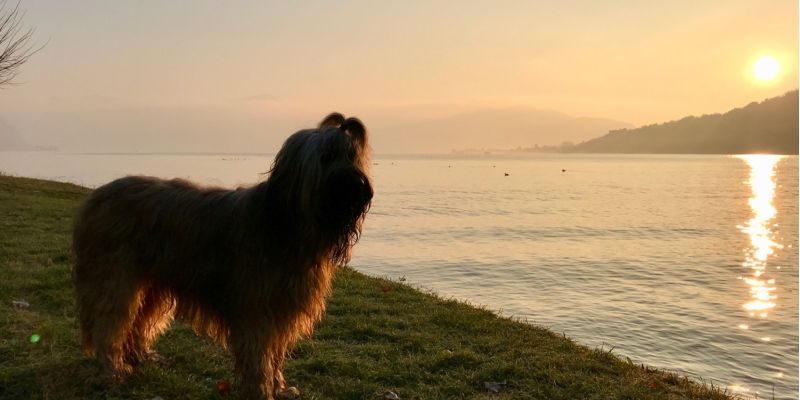 Heute Arbeitstag ...