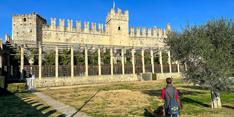 5 Jahre: Vor-Schau auf die Rück-Schau