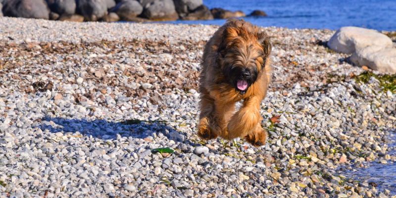 Neujahr in Toscolano Maderno
