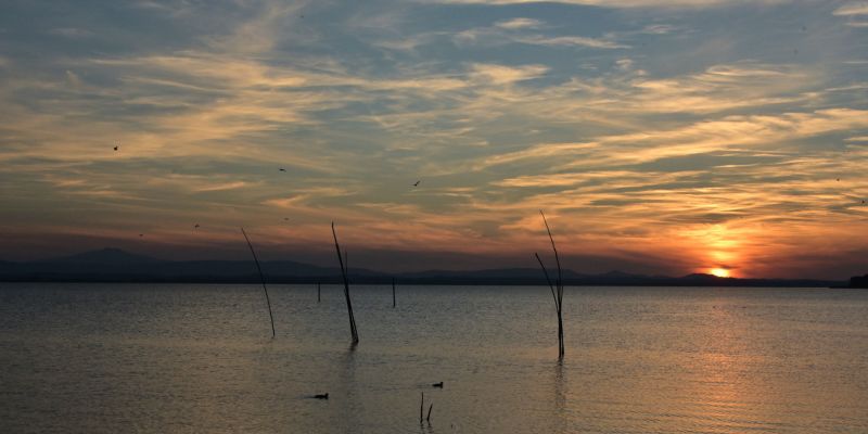 EINE Seerundfahrt kommt selten allein 