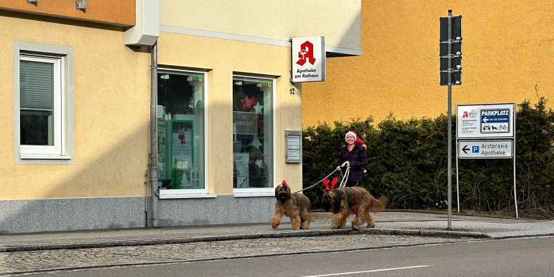 Wichtige Reisevorbereitungen