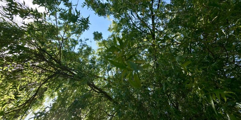 Habt ihr schon einmal ...